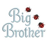 big Brother lettering text machine embroidery with ladybugs from Neelde Passion Embroidery